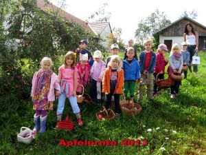 Read more about the article Apfelernte