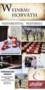 Mehr über den Artikel erfahren Roland & Robin Horvath