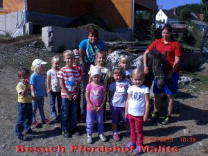 Read more about the article Besuch Besuch Pferdehof