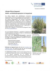 Mehr über den Artikel erfahren Information über Ragweed