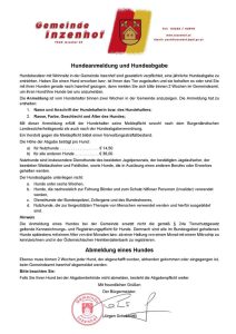 Mehr über den Artikel erfahren Hundeanmeldung und Hundeabgabe