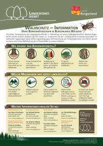 Mehr über den Artikel erfahren Information Borkenkäfer